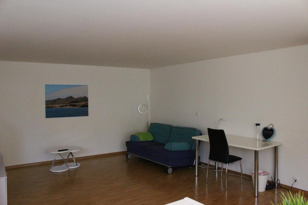 Therwil A Casa Fina- A Modern Room Close To Basel المظهر الخارجي الصورة